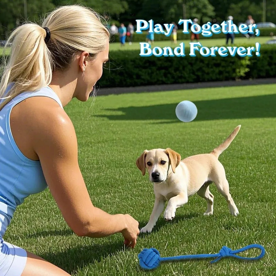 Hign Concerned Puppy Chew Toys 20 Pack for Small Breeds