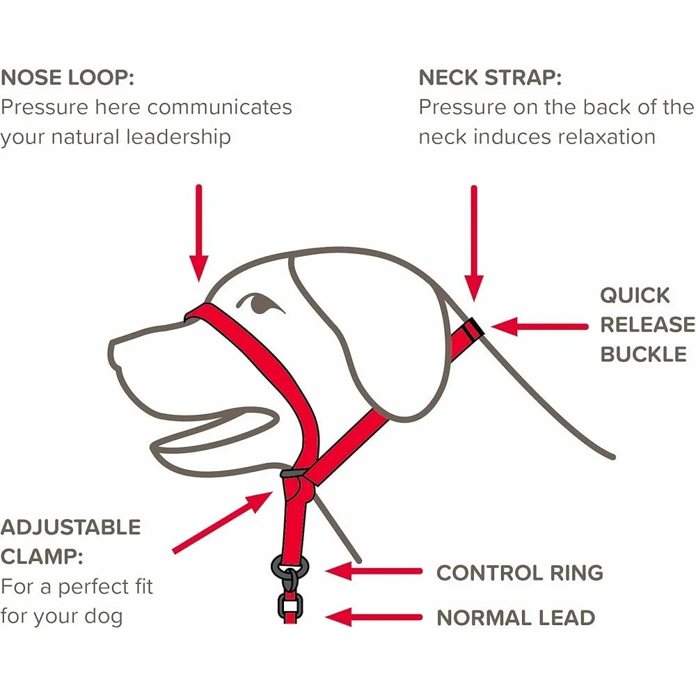 Fujian Gentle Leader Head Collar No Pull Training System