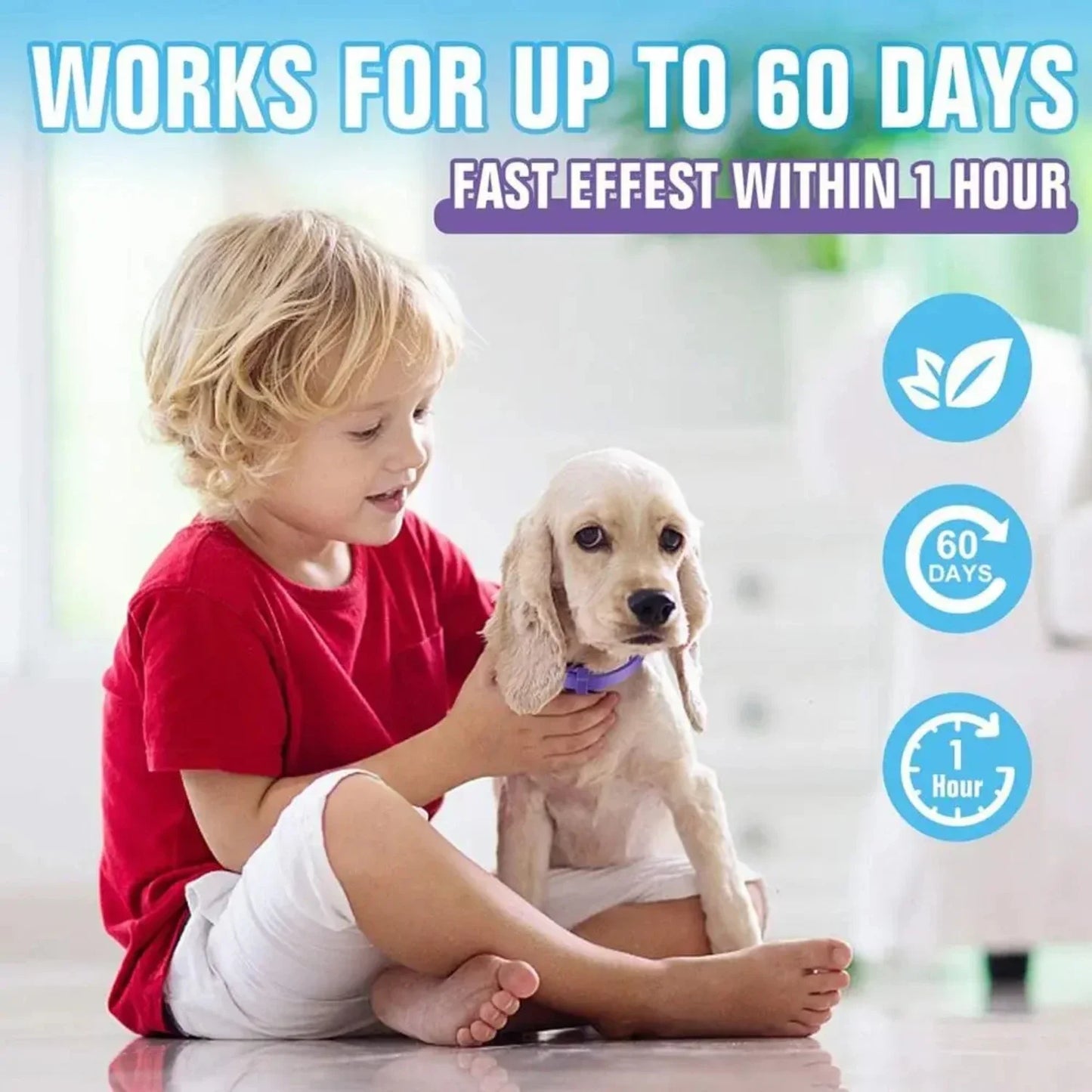 RelaxoPet Calming Collar Anxiety Relief For Dogs And Cats