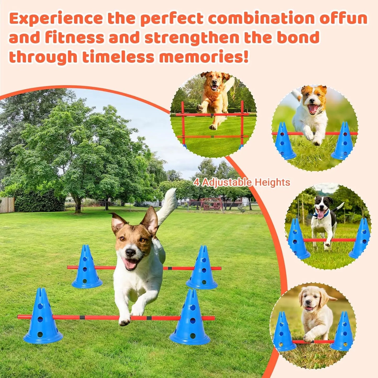 Hignconcerned Dog Agility Hurdle Cone Set With 12 Cones