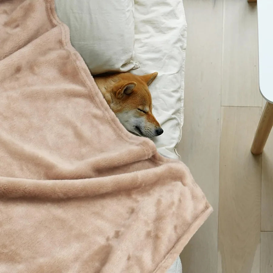 High-concerned Chemical Washable Dog Blanket for Puppy and Kitten