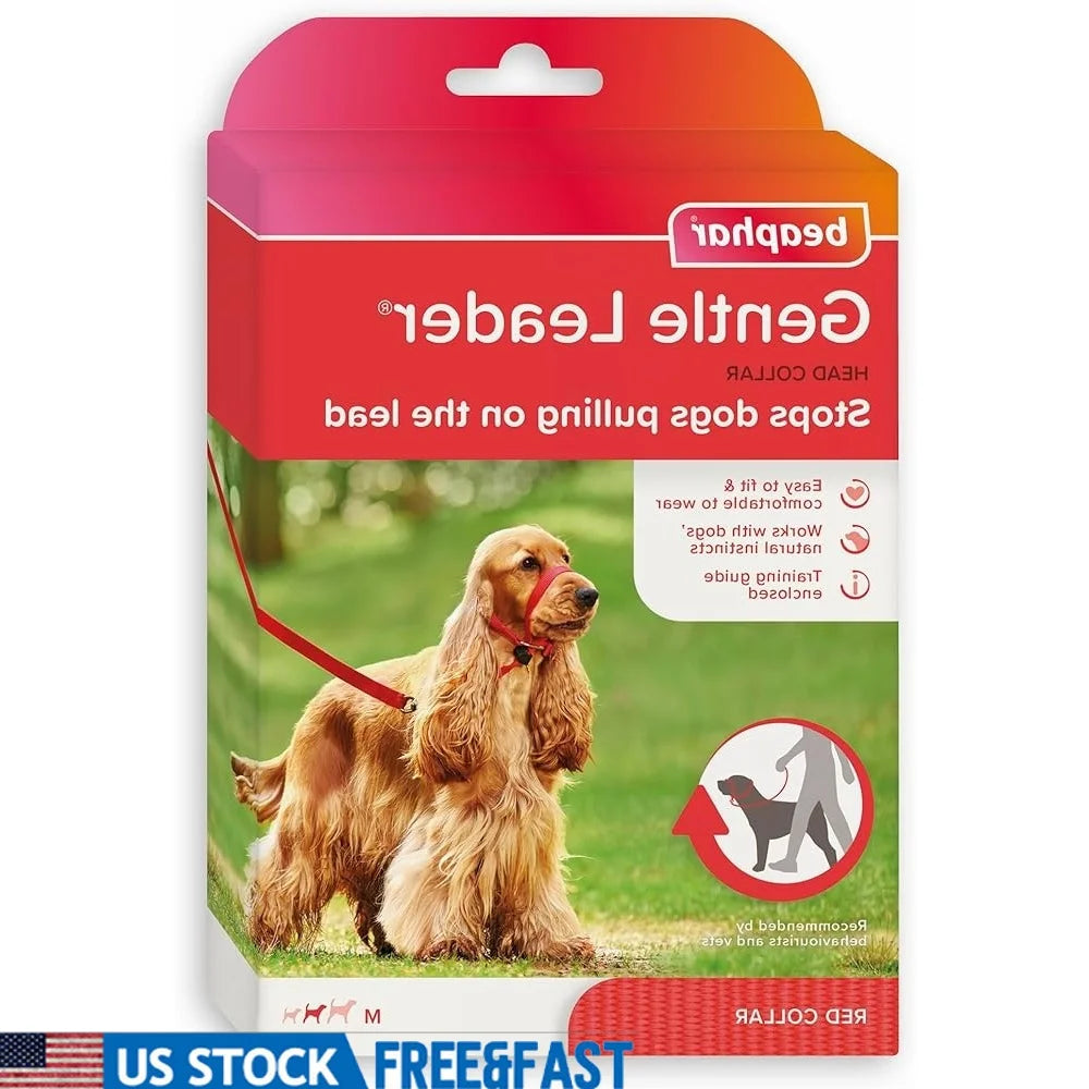 Fujian Gentle Leader Head Collar No Pull Training System