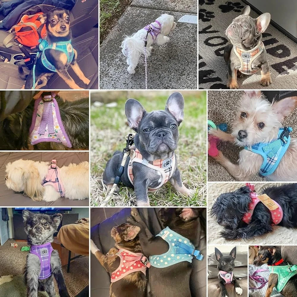 Floral Dog Harness And Leash Set No Pull Escape Proof Vest