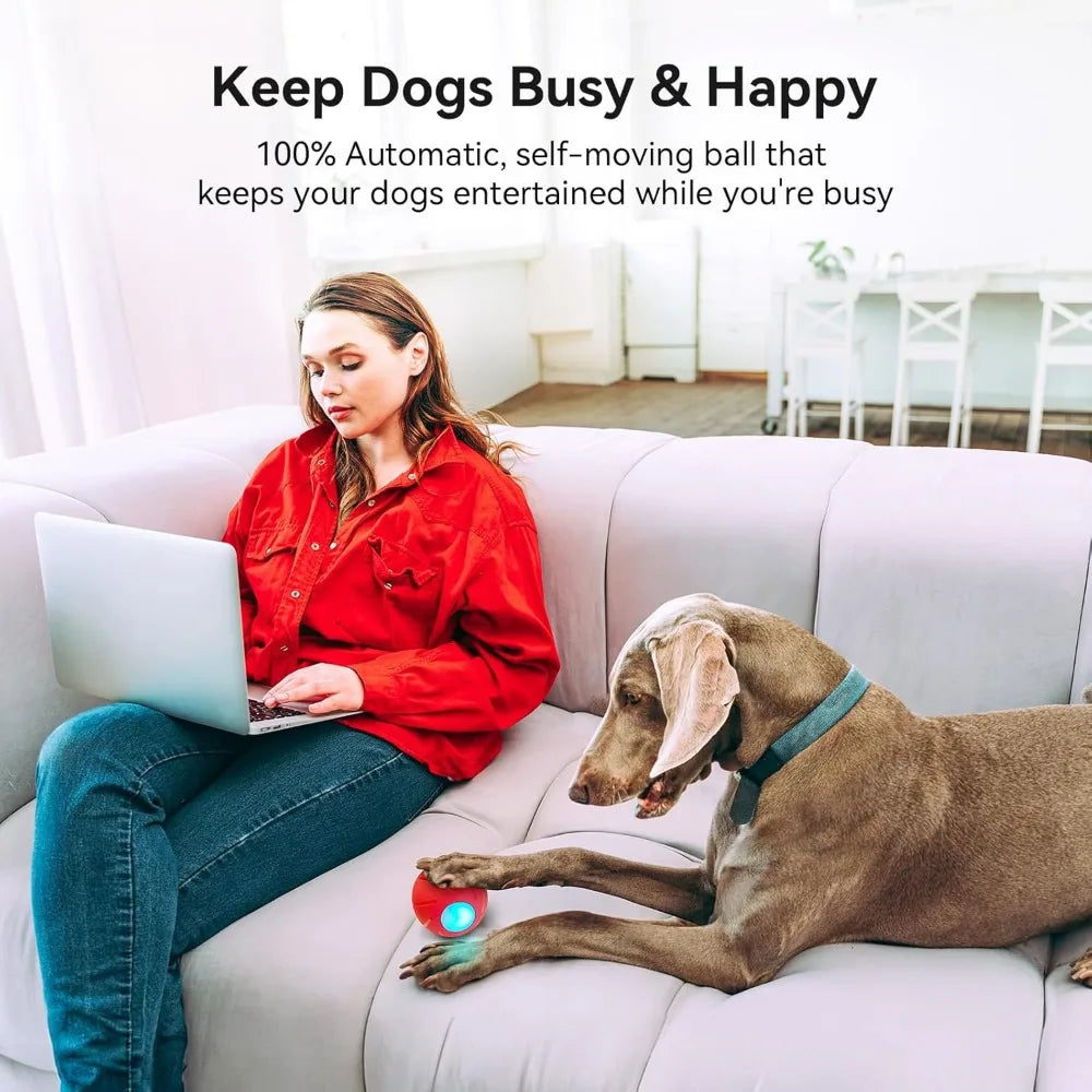 Cheerble Wicked Ball PE Enhanced Rubber Version Dog Toy