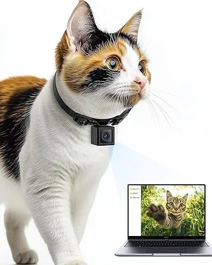 Cat POV Camera Collar 1080P Video Recording For Pets
