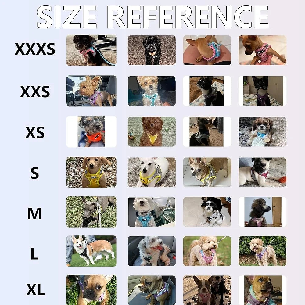 Fujian Step In Dog Harness Leash Set No Pull Reflective