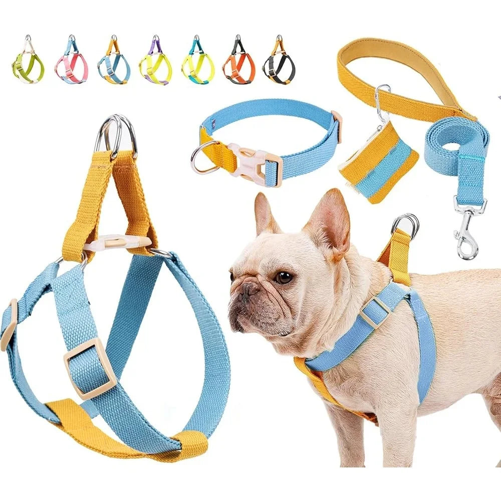 XMSJ No Pull Dog Harness Set With Leash And Accessories
