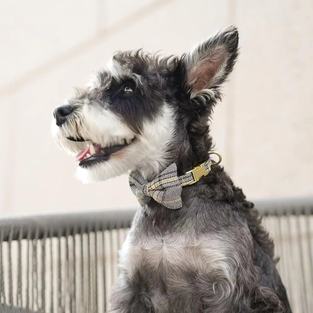 Fujian Cute Small Dog Harness Set Plaid Leash Bowtie