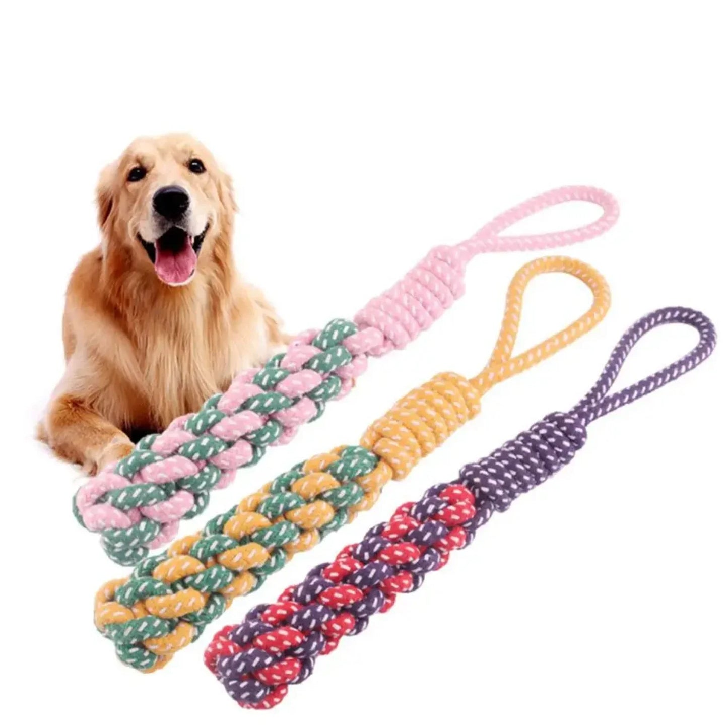 CN Zhejiang Dog Rope Chew Toy Durable Braided Nylon