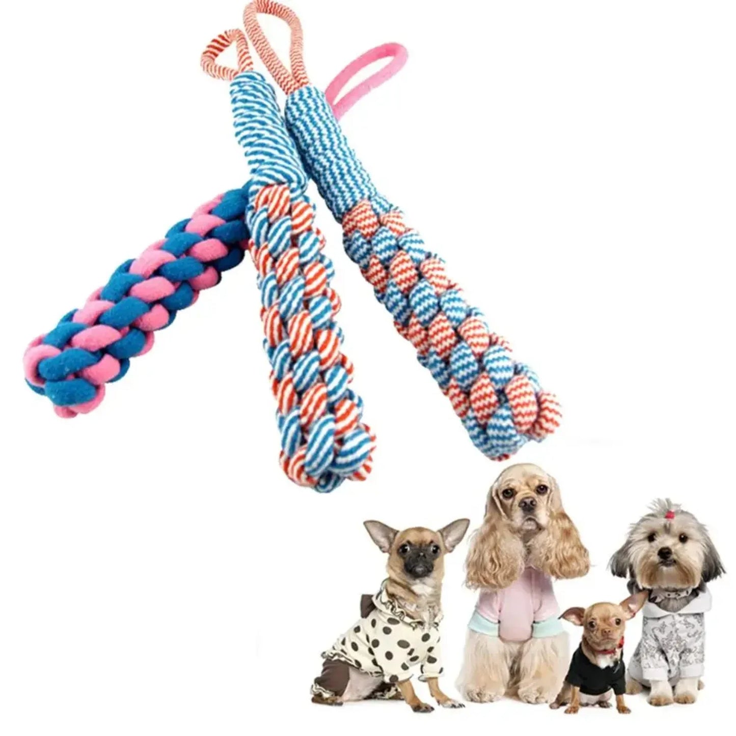 CN Zhejiang Dog Rope Chew Toy Durable Braided Nylon