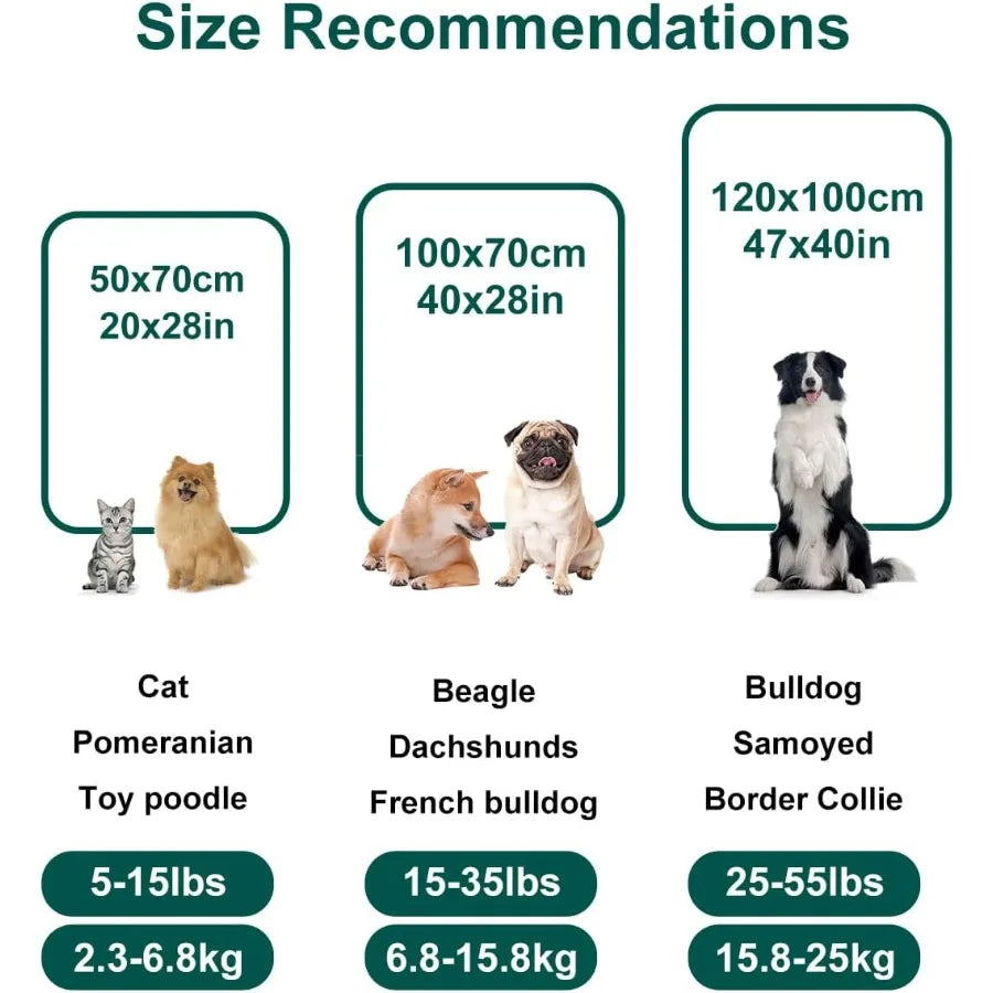 High-concerned Chemical Washable Dog Blanket for Puppy and Kitten