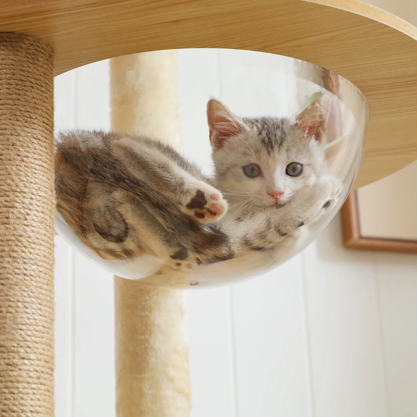 PAWZ Road Multi Level Cat Tree Wood Tower Scratcher