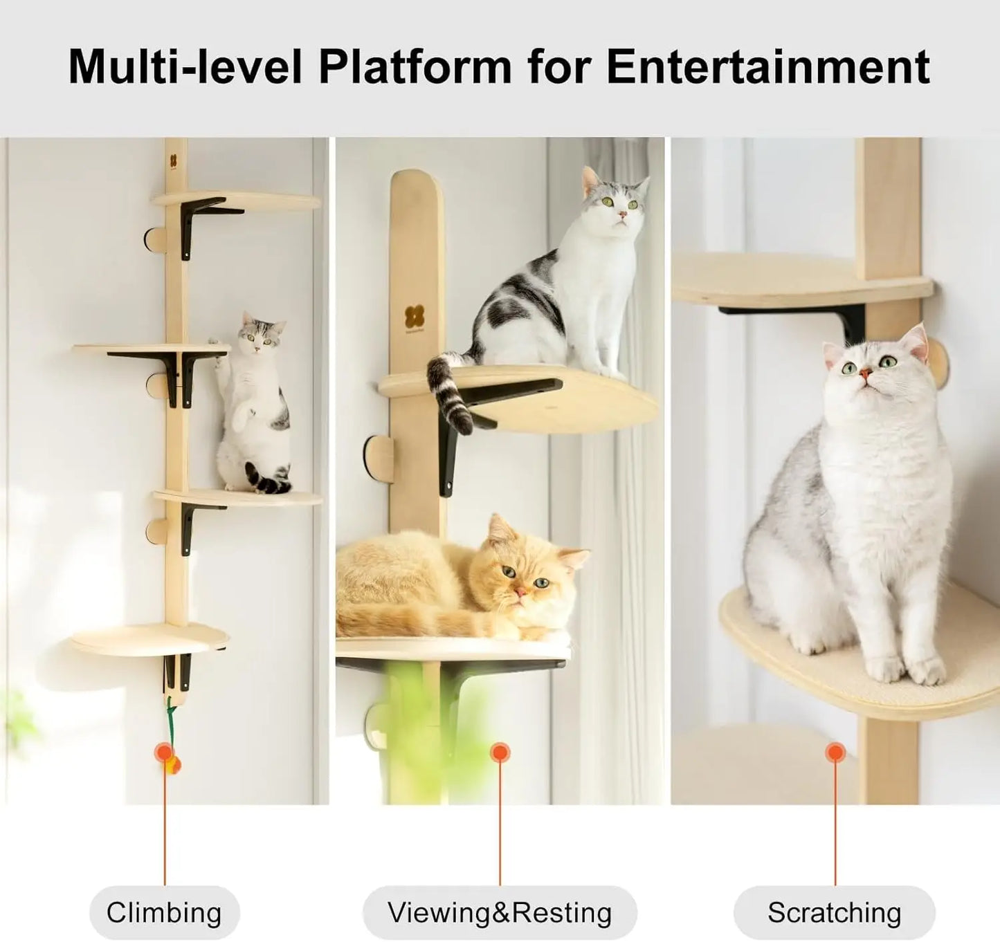 MEWOOFUN Four-Level Wall Mounted Cat Climber Shelves
