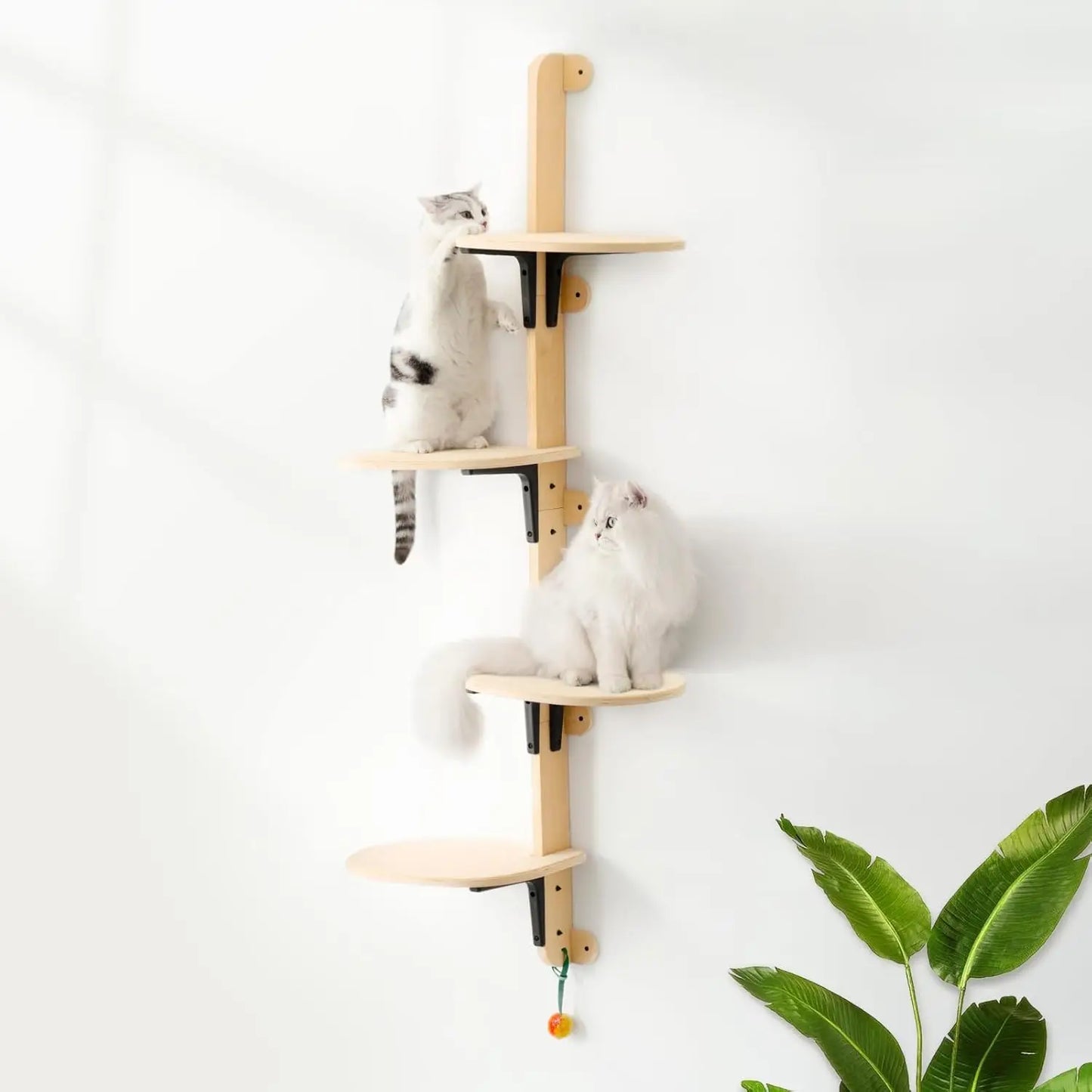 MEWOOFUN Four-Level Wall Mounted Cat Climber Shelves