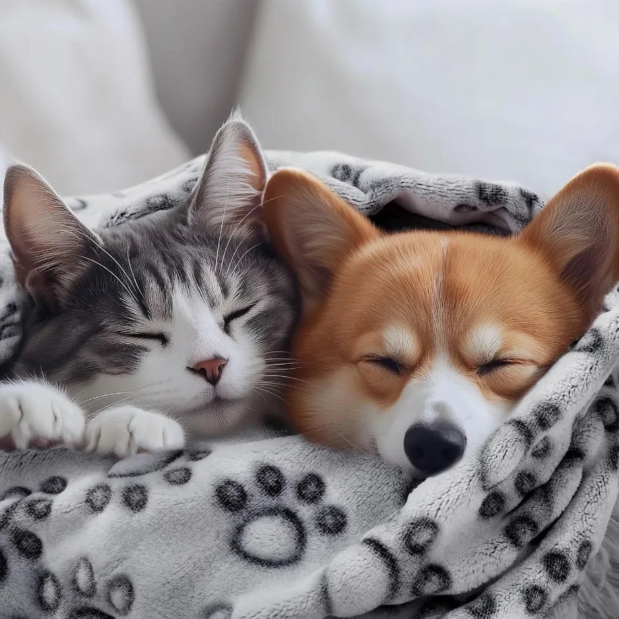 High Concerned Premium Soft Dog Blanket Washable Fleece 300GSM