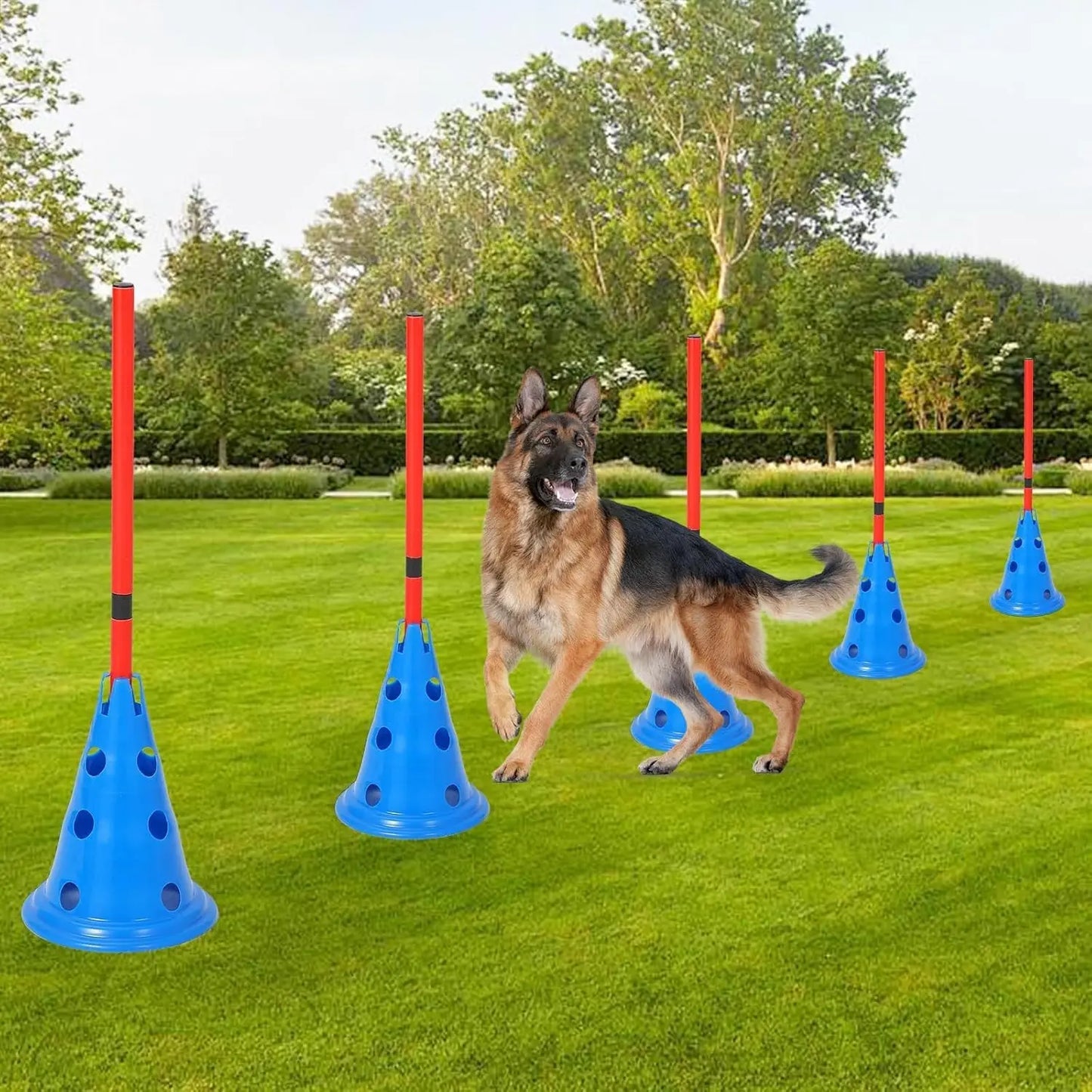 Hignconcerned Dog Agility Hurdle Cone Set With 12 Cones