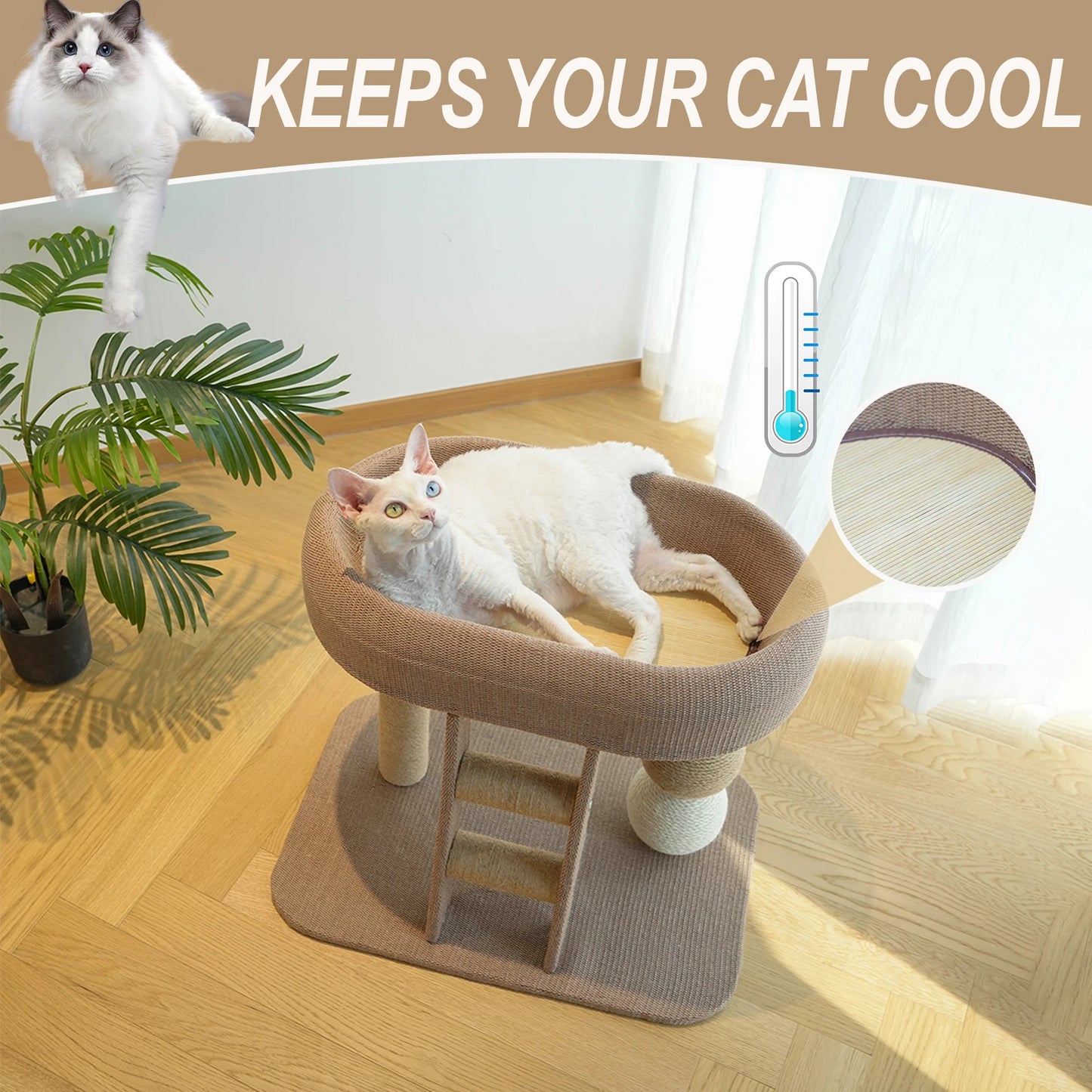 Guangdong Cat Climbing Frame Indoor Tower Bed With Ice Mat