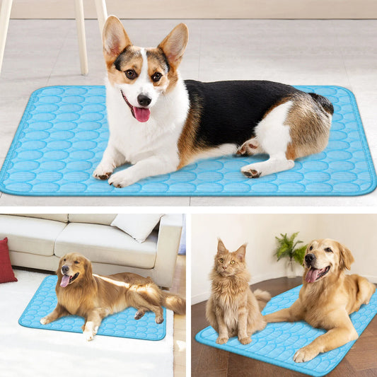 CN Zhejiang Pet Cooling Mat For Dogs Cats Summer Bed