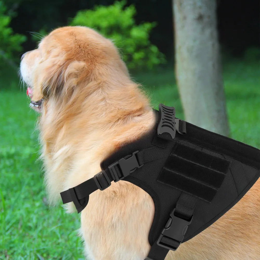 CN Guangdong Tactical Dog Vest Nylon Water Resistant Harness