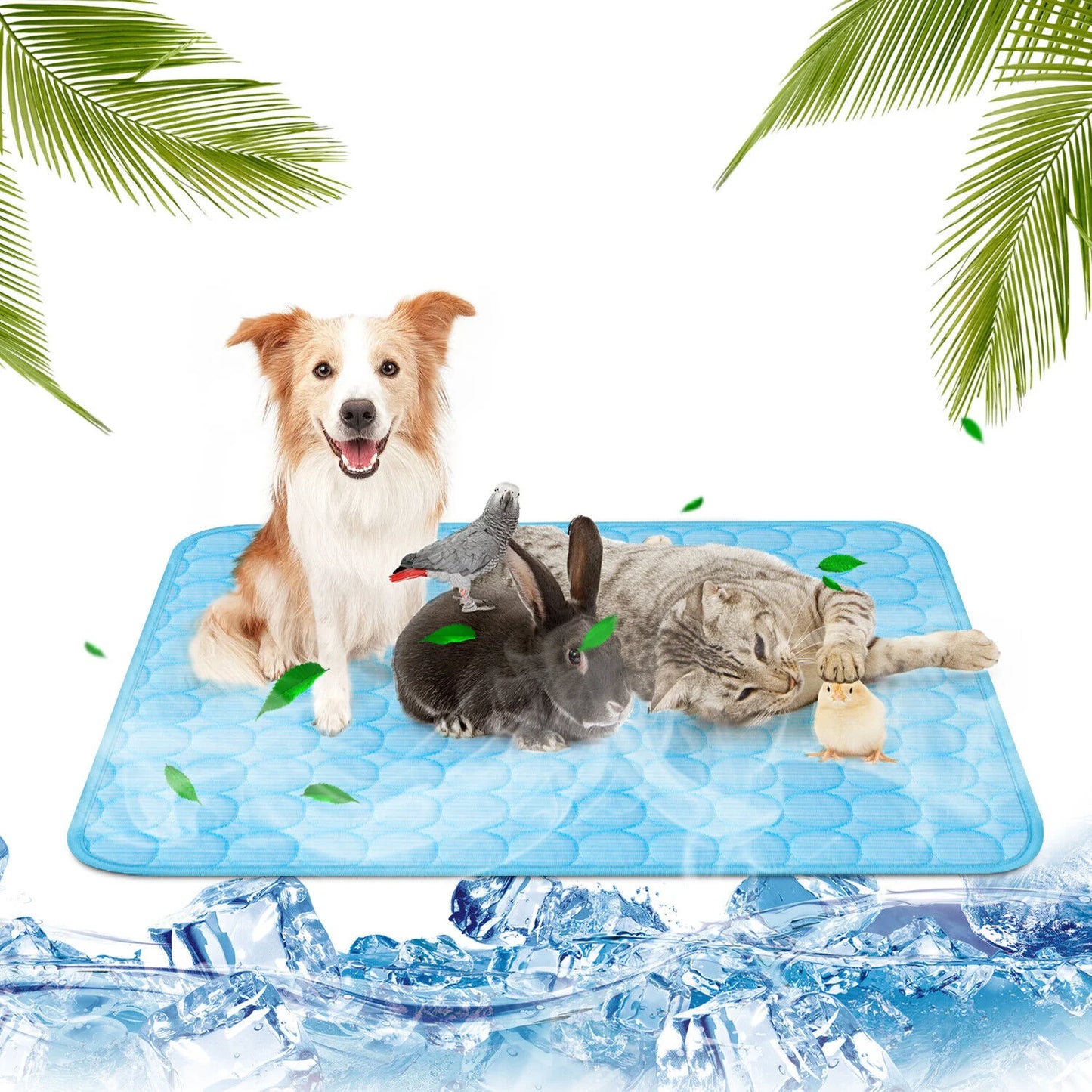 CN Zhejiang Pet Cooling Mat For Dogs Cats Summer Bed