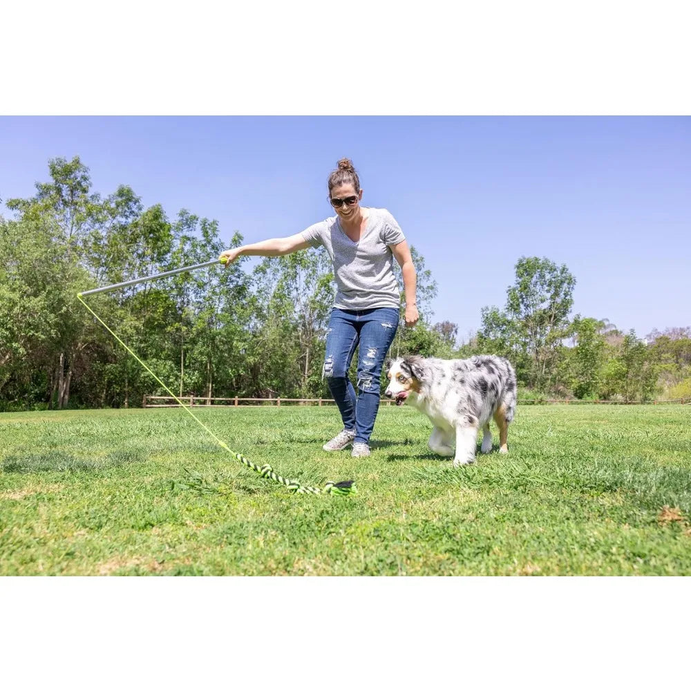 Hyper Pet Flirt Pole Interactive Dog Training Toy Pro