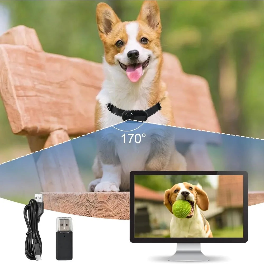 1080p HD Pet Collar Camera For Cats And Dogs With Video