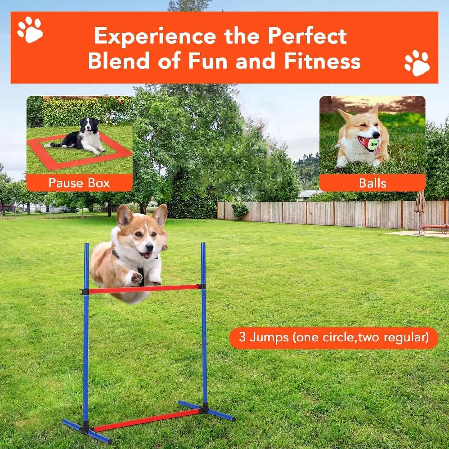 HiMIS 87 Piece Dog Agility Training Set Outdoor Kit