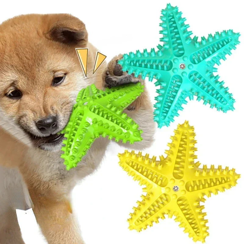 Hign-concerned Vocal Starfish Dog Toy Rubber Ball Chew