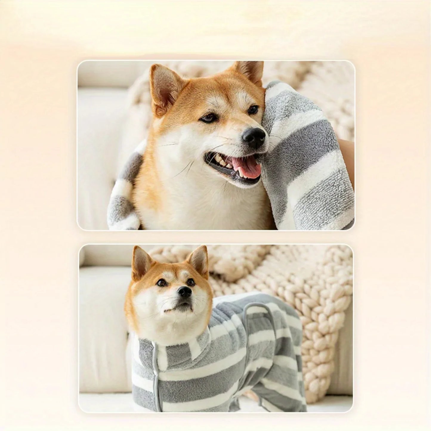 Guangdong Dog Bathrobe Super Absorbent Quick Dry Towel