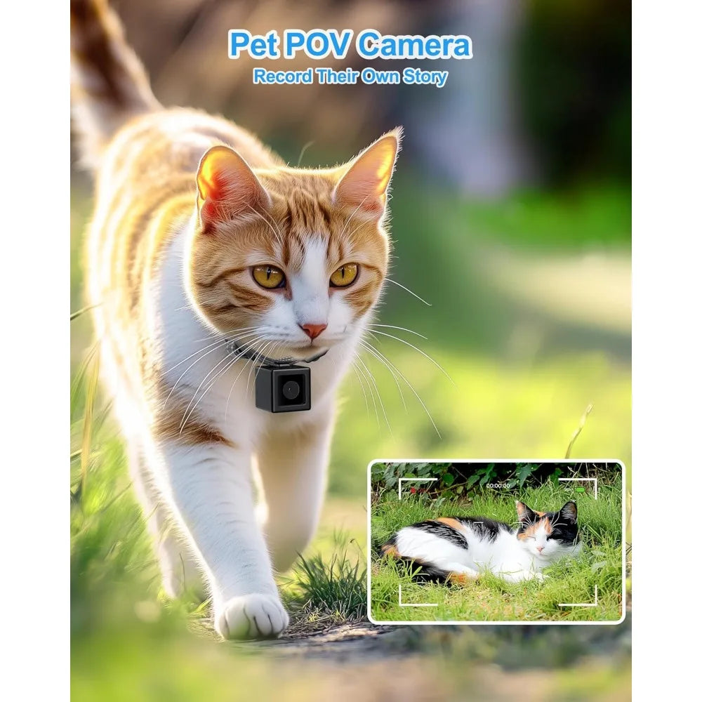 Cat POV Camera Collar 1080P Video Recording For Pets