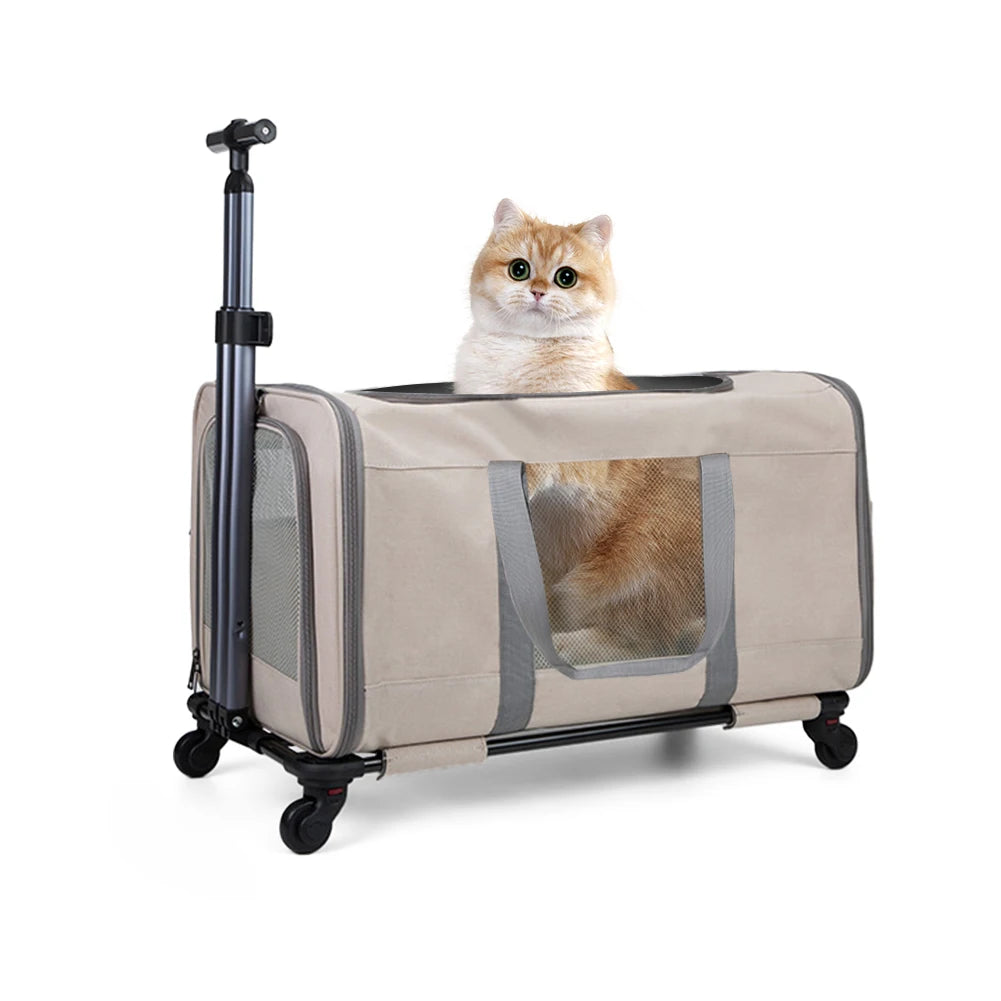 Cat Transport Stroller With Wheels For Travel Animals
