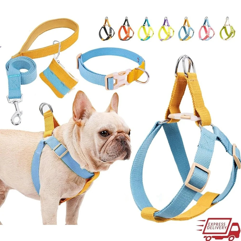 XMSJ No Pull Dog Harness Set With Leash And Accessories