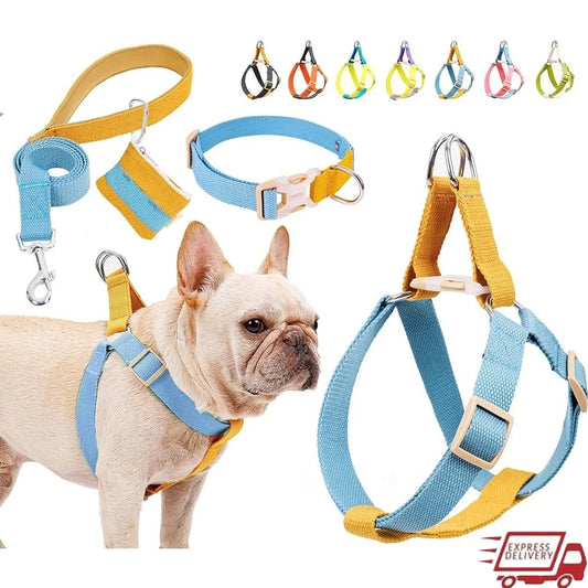 XMSJ No Pull Dog Harness Set With Leash And Accessories