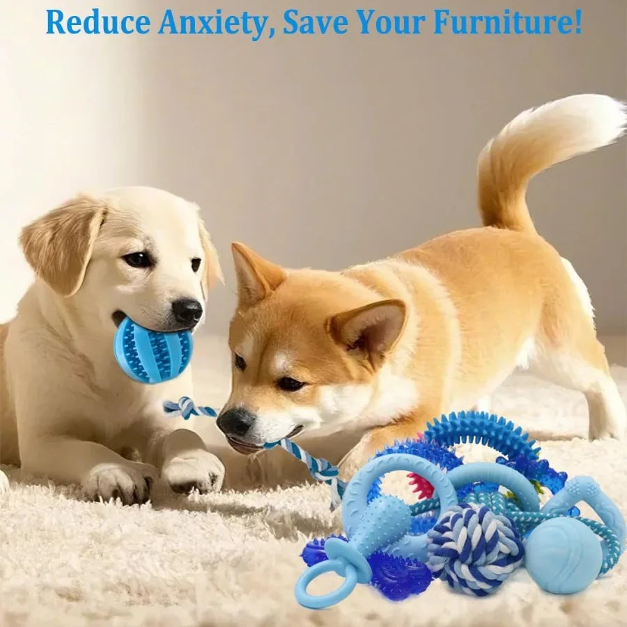 Hign Concerned Puppy Chew Toys 20 Pack for Small Breeds