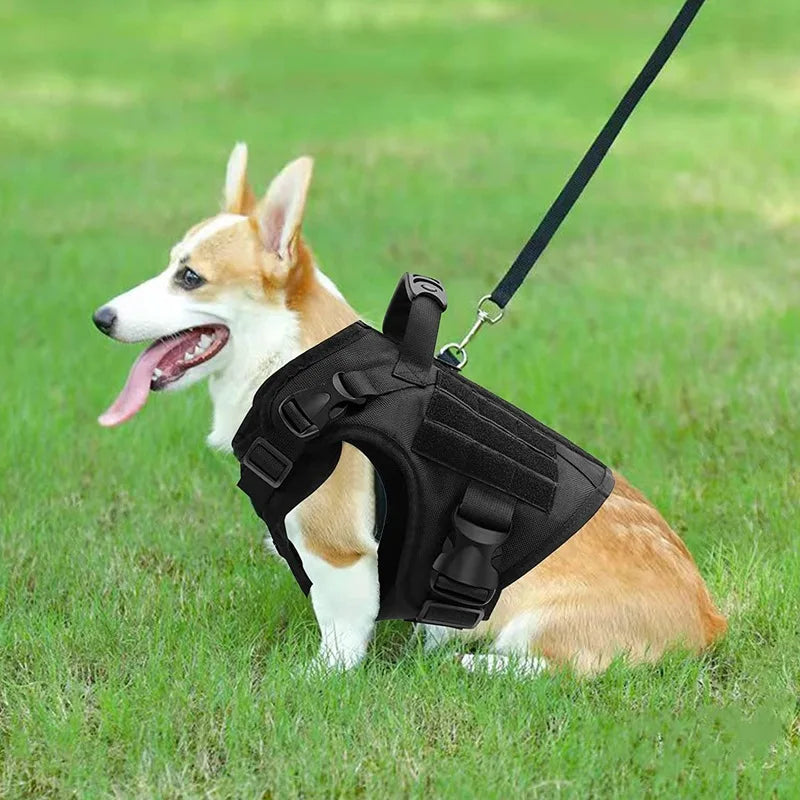CN Guangdong Tactical Dog Vest Nylon Water Resistant Harness