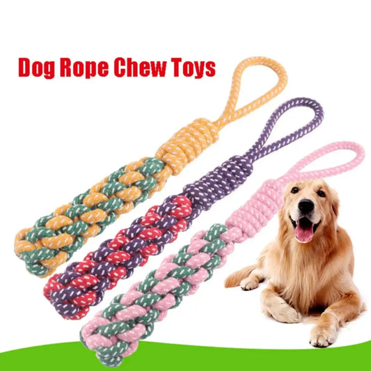 CN Zhejiang Dog Rope Chew Toy Durable Braided Nylon