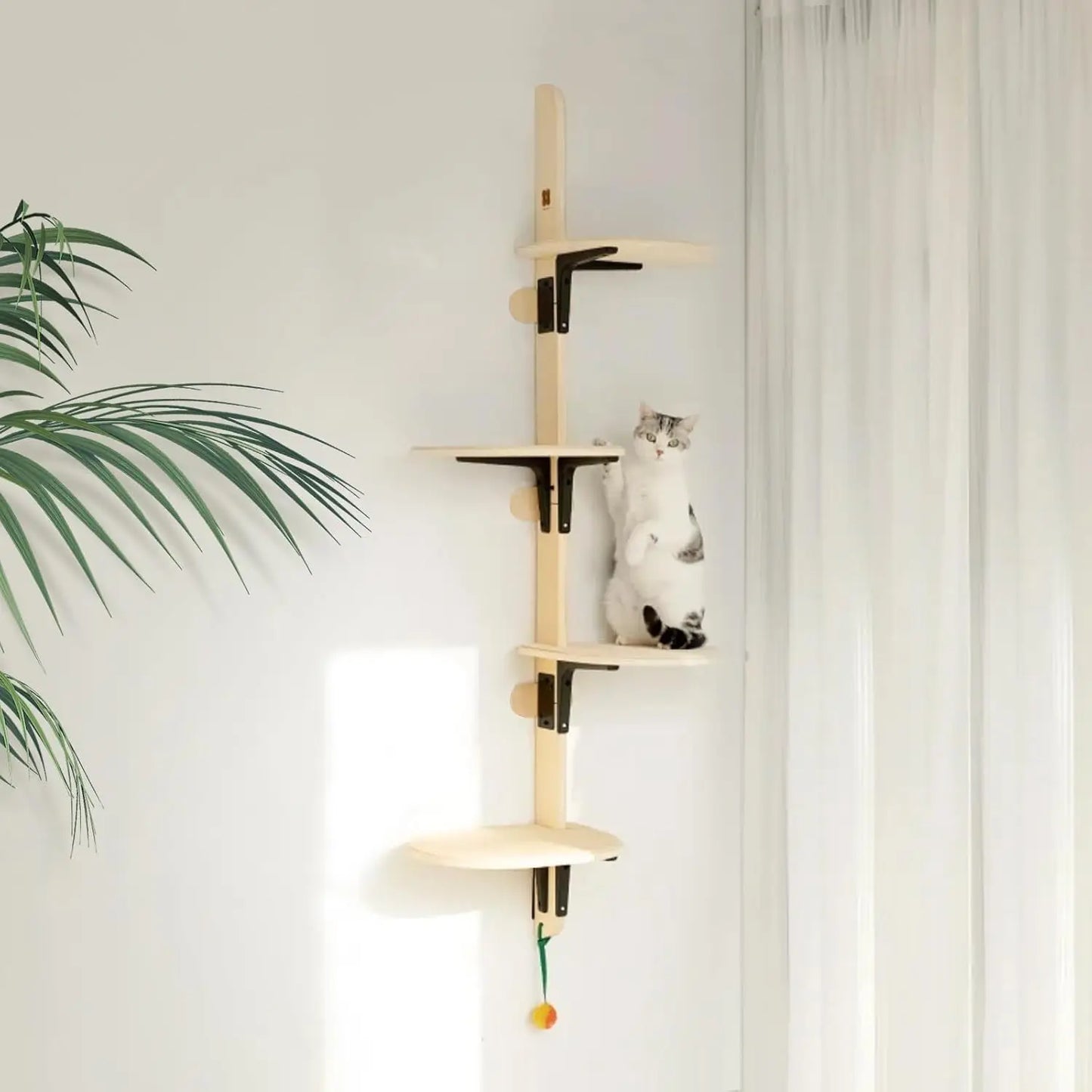 MEWOOFUN Four-Level Wall Mounted Cat Climber Shelves